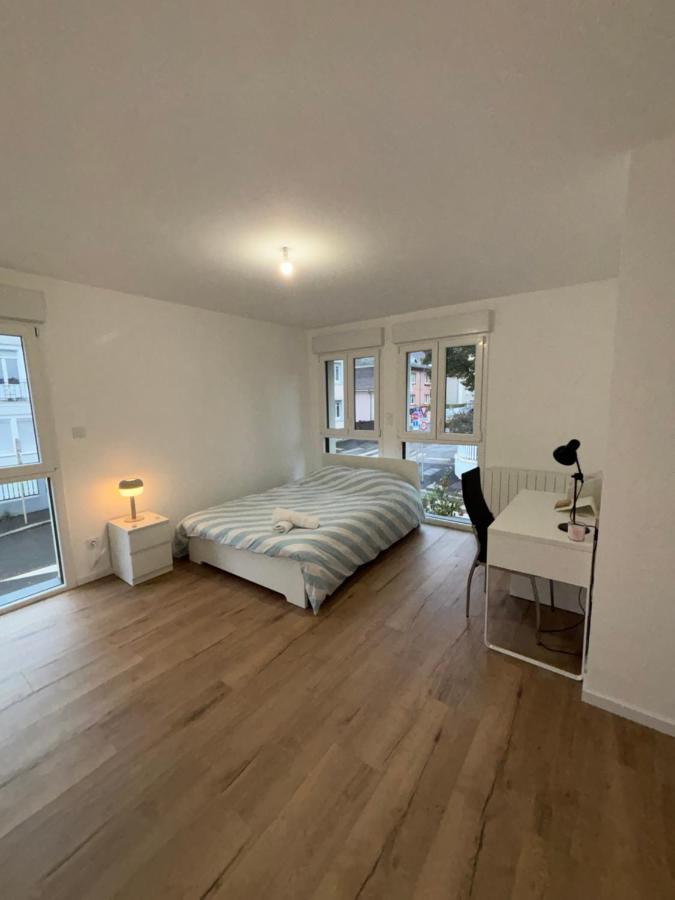 Appartement + Parking + Terrasse Mulhouse Luaran gambar