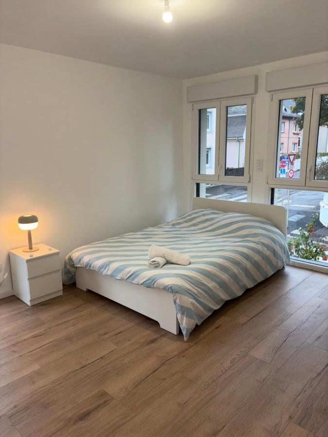 Appartement + Parking + Terrasse Mulhouse Luaran gambar